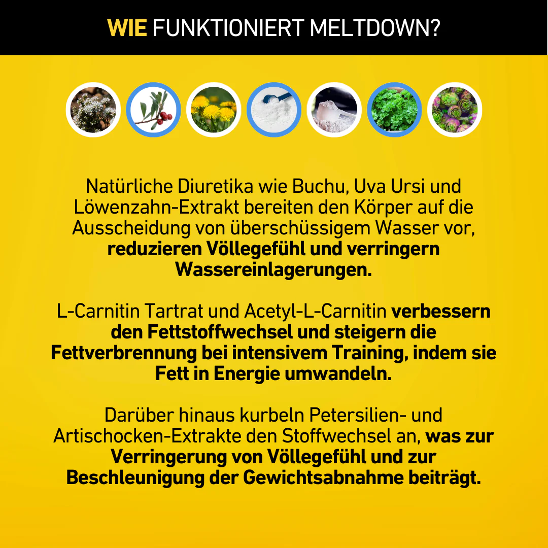 Meltdown - Image 7